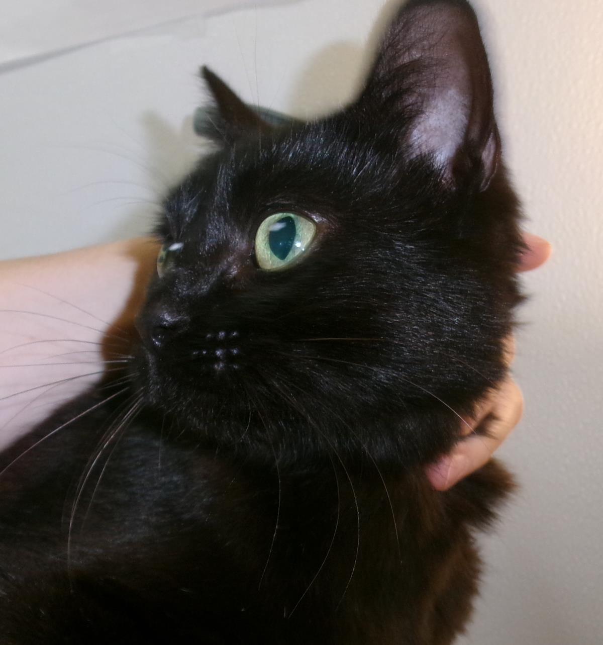 Suzie