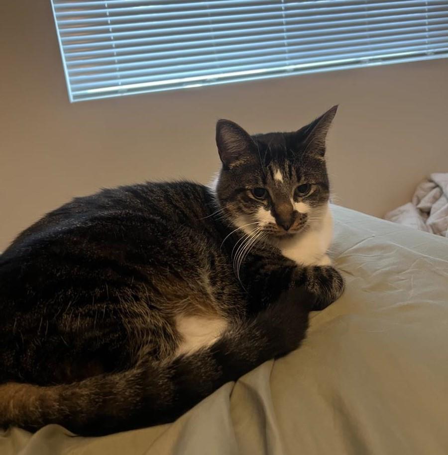Oliver 