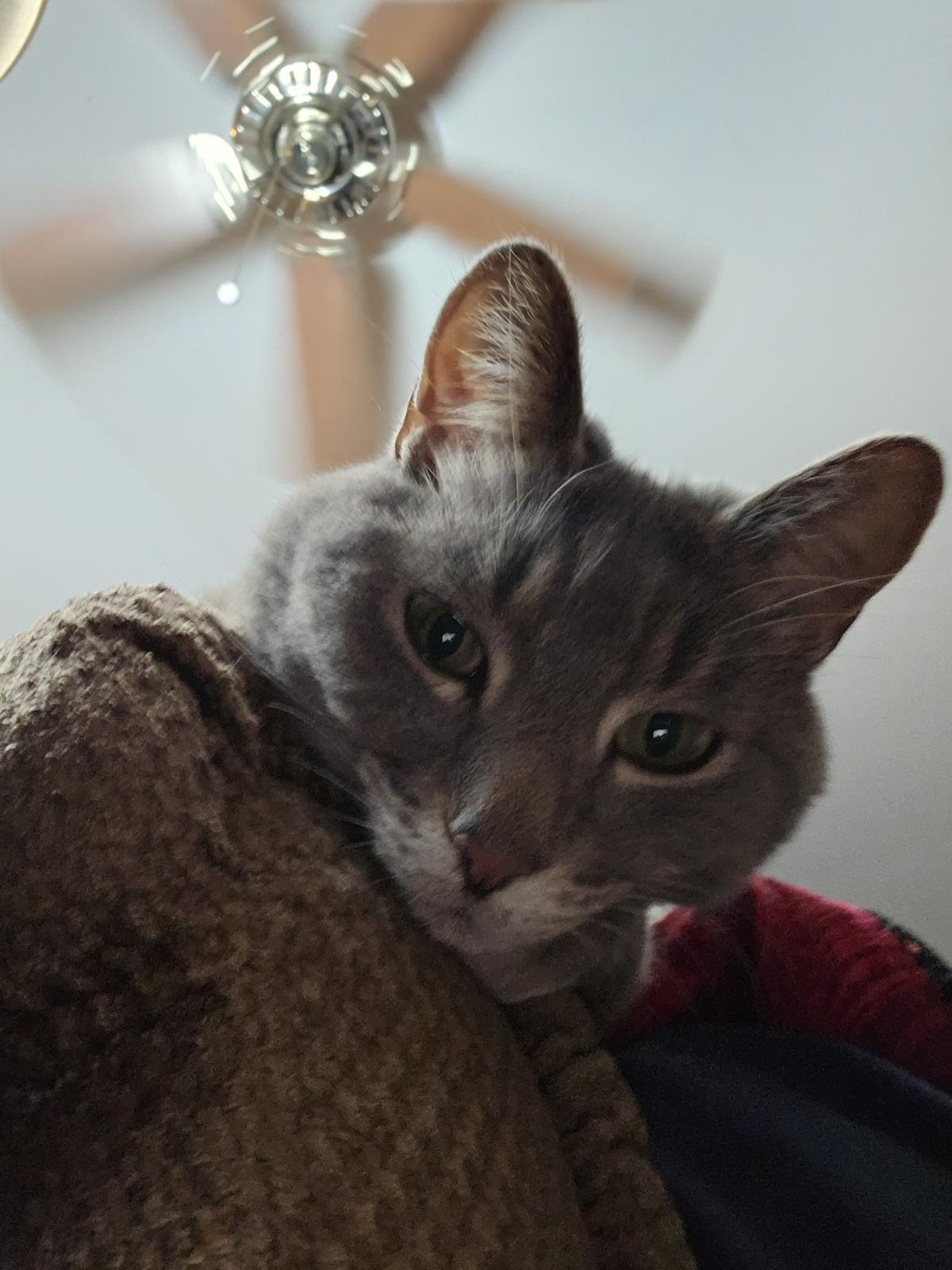 Pixel