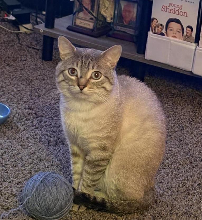 Ozzy Ozbutt